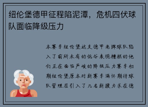 纽伦堡德甲征程陷泥潭，危机四伏球队面临降级压力