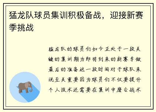 猛龙队球员集训积极备战，迎接新赛季挑战